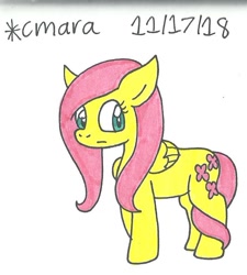 Size: 705x783 | Tagged: safe, artist:cmara, character:fluttershy, species:pony, female, solo, traditional art