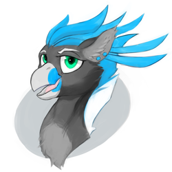 Size: 1280x1280 | Tagged: safe, artist:hobbes-maxwell, oc, oc only, oc:turntable, species:hippogriff, bust, colored, colored sketch, ear piercing, earring, feather, fluffy, jewelry, male, piercing, simple background, sketch, smiling, solo