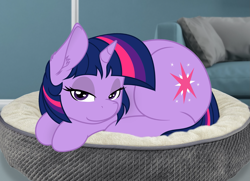 Size: 1893x1369 | Tagged: safe, artist:alcor, artist:slb94, character:twilight sparkle, character:twilight sparkle (unicorn), species:pony, species:unicorn, adorasexy, bed, bedroom eyes, behaving like a cat, cheek fluff, couch, cushion, cute, ear fluff, eyelashes, female, horn, irl, lidded eyes, looking at you, mare, photo, pillow, ponies in real life, prone, smiling, solo, twiabetes, twilight cat