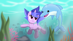 Size: 5311x2981 | Tagged: safe, artist:jhayarr23, character:sea swirl, species:pony, species:unicorn, coral, cute, dolphin, female, fish, mare, seadorable, seaweed, smiling, swimming, underwater