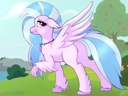 Size: 2048x1536 | Tagged: safe, artist:ratofdrawn, character:silverstream, species:classical hippogriff, species:hippogriff, blushing, butt, cute, diastreamies, digital art, female, happy, one hoof raised, plot, smiling, solo, spread wings, streambutt, wings