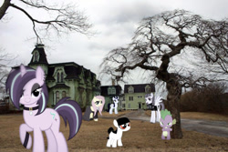 Size: 639x427 | Tagged: safe, artist:cheezedoodle96, artist:hunterz263, artist:jhayarr23, artist:slb94, artist:undeadponysoldier, character:fluttershy, character:inky rose, character:moonlight raven, character:spike, character:starlight glimmer, oc, oc:foalita, species:dragon, species:earth pony, species:pegasus, species:pony, species:unicorn, alternate hairstyle, angry, clothing, collar, dead tree, dead trees, dragons in real life, dress, ear piercing, earring, edgelight glimmer, eyeliner, female, filly, fluttergoth, goth, gothic eyeliner, gothlight glimmer, house, irl, jewelry, lidded eyes, looking at you, makeup, male, mansion, mare, photo, piercing, ponies in real life, raised hoof, teenage glimmer, tree, victorian, victorian mansion