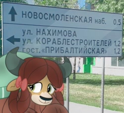 Size: 750x680 | Tagged: safe, artist:dashiesparkle, artist:rainbow eevee, character:yona, bust, cute, cyrillic, icon, irl, monkey swings, photo, portrait, russia, russian, sankt petersburg, sign, solo, traffic signal, wat, yonadorable