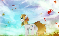 Size: 1142x700 | Tagged: safe, artist:foxinshadow, species:pegasus, species:pony, amputee, autumn, cloud, de-winged, field, leaves, nintendo 64, pegasus console, ponified, scar, scenery, sky, solo, wing amputee, wingless