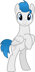 Size: 4000x8271 | Tagged: safe, artist:parclytaxel, oc, oc only, oc:dreamy daze, species:pegasus, species:pony, 2020 community collab, derpibooru community collaboration, .svg available, absurd resolution, bipedal, looking at you, male, raised hoof, simple background, smiling, solo, stallion, transparent background, vector