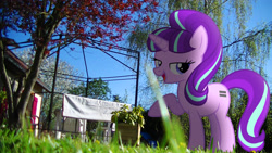 Size: 3840x2160 | Tagged: safe, artist:bastbrushie, artist:dashiesparkle, character:starlight glimmer, species:pony, bedroom eyes, equal cutie mark, fence, garden, irl, photo, ponies in real life, pose, raised hoof, s5 starlight, shadow, solo, tree, vector, yard