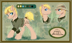 Size: 1280x767 | Tagged: safe, artist:swaybat, oc, oc only, species:earth pony, species:pony, bust, clothing, earth pony oc, hat, male, pith helmet, reference sheet, smiling, stallion, tail wrap