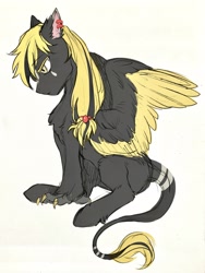Size: 2605x3460 | Tagged: safe, artist:swaybat, oc, oc only, species:hippogriff, species:pony, hippogriff oc, long hair, male, simple background, solo, white background