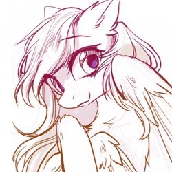Size: 1280x1280 | Tagged: safe, artist:swaybat, oc, species:pegasus, species:pony, female, looking at you, mare, sketch, solo