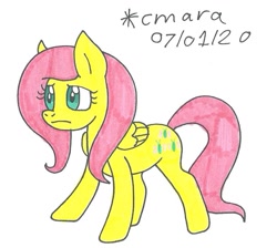 Size: 959x861 | Tagged: safe, artist:cmara, character:fluttershy, species:pegasus, species:pony, female, mare, solo, traditional art, worried