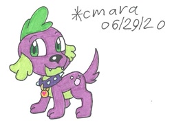 Size: 849x618 | Tagged: safe, artist:cmara, character:spike, species:dog, my little pony:equestria girls, collar, cute, male, solo, spikabetes, spike the dog, traditional art