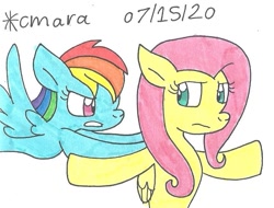 Size: 898x684 | Tagged: safe, artist:cmara, character:fluttershy, character:rainbow dash, species:pegasus, species:pony, episode:dragon quest, g4, my little pony: friendship is magic, female, fluttershy is not amused, gritted teeth, mare, scene interpretation, simple background, traditional art, unamused, white background