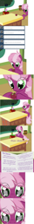 Size: 887x5712 | Tagged: safe, artist:frist44, character:cheerilee, character:twilight sparkle, ship:cheerilight, chalk, chalkboard, cheerilee-s-chalkboard, classroom, comic, female, lesbian, shipping, tumblr, valentine's day