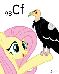 Size: 4000x5000 | Tagged: safe, artist:parclytaxel, character:fluttershy, species:bird, species:pegasus, species:pony, series:joycall6's periodic table, g4, .svg available, absurd resolution, ambiguous gender, california condor, californium, chemistry, condor, duo, female, mare, perching, periodic table, pun, simple background, smiling, vector, visual gag, vulture, white background
