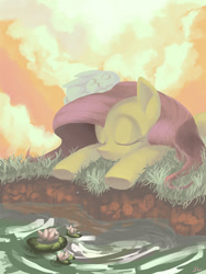 Size: 1200x1600 | Tagged: safe, artist:docwario, character:angel bunny, character:fluttershy, species:pegasus, species:pony, species:rabbit, animal, duo, eyes closed, female, lily pad, mare, outdoors, pond, prone, river, sitting on head, sleeping, three quarter view, water