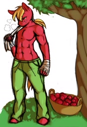 Size: 1280x1849 | Tagged: dead source, safe, artist:avante92, character:big mcintosh, species:anthro, species:unguligrade anthro, apple, bare chest, basket, breath, clothing, food, hand wraps, male, pants, ponytail, solo, sweat, topless, tree