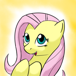 Size: 512x512 | Tagged: safe, artist:acesential, character:fluttershy, species:pegasus, species:pony, g4, bust, female, happy, mare, portrait, solo