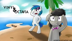 Size: 1920x1080 | Tagged: safe, artist:acesential, character:dj pon-3, character:octavia melody, character:vinyl scratch, species:earth pony, species:pony, species:unicorn, g4, a tropical octav3, bipedal, island, ocean, palm tree, sand, tree