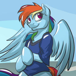 Size: 800x800 | Tagged: safe, artist:acesential, character:rainbow dash, species:anthro, species:pegasus, species:pony, species:unguligrade anthro, g4, clothing, semi-anthro, shirt, solo
