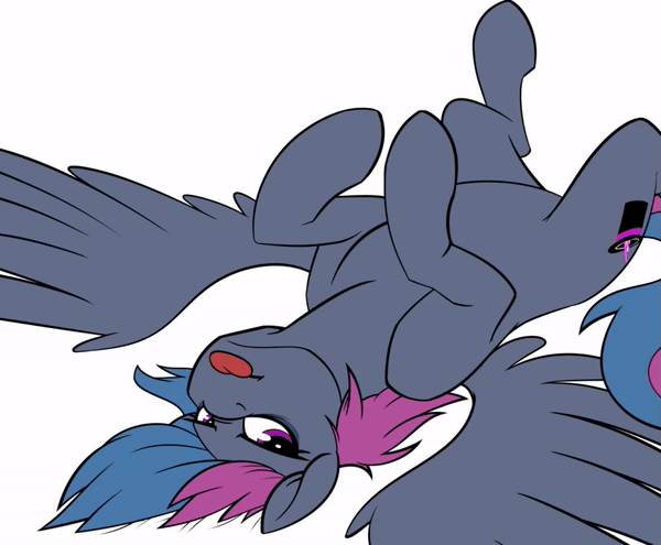 Size: 600x495 | Tagged: safe, artist:acesential, oc, oc only, oc:running riot, species:pegasus, species:pony, g4, animated, blep, brushie, brushie brushie, female, mare, on back, silly, tongue out