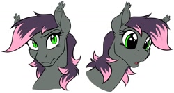 Size: 1590x854 | Tagged: safe, artist:acesential, oc, oc:quill, species:bat pony, species:pony, g4, bat pony oc, bust, fangs, female, mare, open mouth, simple background, solo, white background