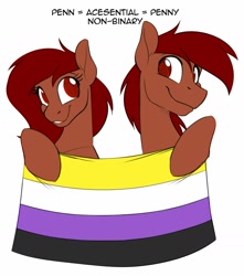 Size: 1280x1446 | Tagged: safe, artist:acesential, oc, oc only, oc:penn, oc:penny, species:earth pony, species:pony, g4, nonbinary, nonbinary pride flag, pride, pride flag