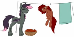 Size: 1319x659 | Tagged: safe, artist:acesential, oc, oc only, oc:penny, oc:quill, species:bat pony, species:earth pony, species:pony, g4, clothes line, drying, eyes closed, female, laundry, laundry basket, mare, simple background, white background