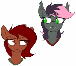 Size: 912x799 | Tagged: safe, artist:acesential, oc, oc only, oc:penny, oc:quill, species:anthro, species:bat pony, species:earth pony, species:pony, g4, bust, duo