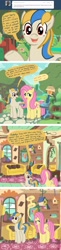 Size: 800x3276 | Tagged: safe, artist:docwario, character:fluttershy, oc, oc:pia ikea, ask, ask pia ikea, comic, fluttershy's cottage, tumblr