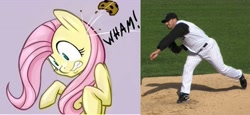 Size: 3415x1577 | Tagged: safe, artist:hobbes-maxwell, edit, character:fluttershy, baseball, cookie, flutterbuse, lowres, throwing things at fluttershy