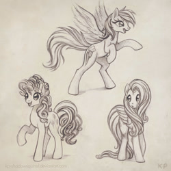 Size: 1000x1000 | Tagged: safe, artist:kp-shadowsquirrel, character:fluttershy, character:pinkie pie, character:rainbow dash, monochrome, sketch dump, trio