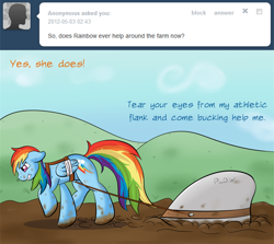 Size: 882x788 | Tagged: safe, artist:ratofdrawn, character:applejack, character:rainbow dash, species:pegasus, species:pony, ship:appledash, ask, ask appledash, bandage, comic, dirty, female, floppy ears, gritted teeth, lesbian, plow, shipping, snorting, tumblr, walking