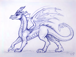 Size: 1200x900 | Tagged: safe, artist:kp-shadowsquirrel, character:queen chrysalis, species:dragon, dragoness, dragonified, dragonlis, female, monochrome, pen drawing, solo, species swap, traditional art