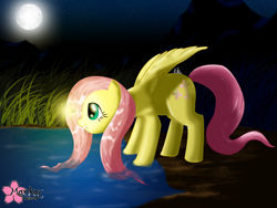 Size: 2592x1944 | Tagged: safe, artist:clouddg, character:fluttershy, firefly, moon, night, pond, water, wet mane