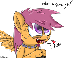 Size: 5000x4000 | Tagged: safe, artist:extradan, artist:extrart, character:scootaloo, species:pegasus, species:pony, collar, cutie mark, cutie mark collar, dialogue, female, femsub, filly, good girl, heart, lesboloo, looking up, offscreen character, pet tag, solo, submissive, tongue out