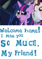 Size: 742x1050 | Tagged: safe, artist:horsesplease, gameloft, character:twilight sparkle, character:twilight sparkle (alicorn), species:alicorn, species:pony, episode:castle sweet castle, g4, my little pony: friendship is magic, bronybait, caption, crying, expand dong, exploitable meme, good end, happy, image macro, meme, reunion, solo, story included, tears of joy