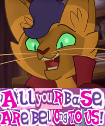 Size: 570x690 | Tagged: safe, artist:horsesplease, character:capper dapperpaws, species:abyssinian, species:anthro, my little pony: the movie (2017), all your base are belong to us, caption, cat, conquest, expand dong, exploitable meme, happy, image macro, male, meme, pun, smiling, text, zero wing