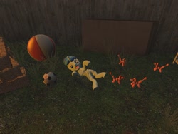 Size: 1024x768 | Tagged: safe, artist:horsesplease, character:party favor, 3d, ball, balloon, balloon animal, doggie favor, gmod, herd, lying down, on back, sheepdog