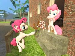 Size: 1024x768 | Tagged: safe, artist:horsesplease, character:pinkie pie, 3d, bipedal, bubble berry, bubblepie, female, flower, gmod, male, rule 63, self ponidox, selfcest, sfm pony, shipping, straight
