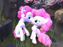 Size: 1024x768 | Tagged: safe, artist:horsesplease, character:pinkie pie, 3d, bubble berry, bubblepie, cherry blossoms, female, flower, flower blossom, gmod, kissing, male, rule 63, sakura pie, self ponidox, selfcest, sfm pony, shipping, straight