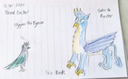 Size: 3605x2240 | Tagged: safe, artist:horsesplease, character:gallus, character:stygian, species:bird, birb, derp, doodle, gallus the rooster, lined paper, pigeon, pun, traditional art