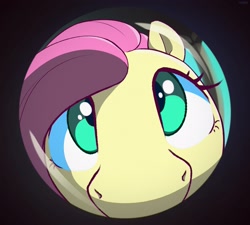 Size: 3105x2796 | Tagged: safe, artist:nookprint, character:fluttershy, species:pegasus, species:pony, g4, close-up, cute, looking at you, peephole