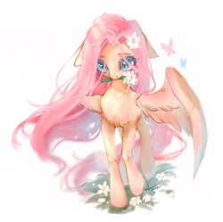 Size: 2001x1995 | Tagged: safe, artist:annie39367262, character:fluttershy, species:pegasus, species:pony, g4, beautiful, flower, flower in hair, mouth hold, simple background, solo, spread wings, walking towards you, white background, wings