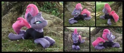 Size: 4057x1754 | Tagged: safe, artist:peruserofpieces, character:tempest shadow, species:pony, species:unicorn, g4, broken horn, collage, photo, plushie, solo
