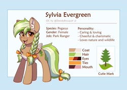 Size: 3333x2356 | Tagged: safe, artist:dandy, oc, oc only, oc:sylvia evergreen, species:pegasus, species:pony, g4, bow, braid, braided pigtails, chest fluff, cutie mark, ear fluff, female, folded wings, freckles, hair bow, looking sideways, mare, open mouth, reference sheet, smiling, solo, wings