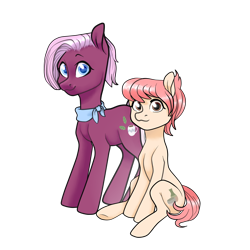 Size: 1400x1400 | Tagged: safe, artist:veracon, character:jasmine leaf, character:raspberry vinaigrette, species:earth pony, species:pony, g4, ascot, cute, cutie mark, duo, duo female, female, females only, looking at you, mare, simple background, sitting, smiling, transparent background
