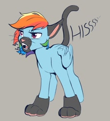 Size: 908x1001 | Tagged: safe, artist:silentwulv, character:rainbow dash, species:pegasus, species:pony, g4, animal costume, behaving like a cat, cat costume, cat ears, cat tail, clothing, costume, face mask, female, gray background, hissing, mare, mask, open mouth, paw gloves, simple background, solo, tail, text, whiskers