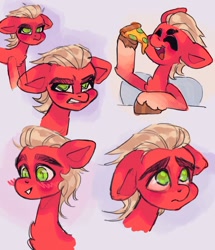 Size: 1032x1200 | Tagged: safe, artist:p0nyplanet, character:sprout, species:earth pony, species:pony, g5, coat markings, collage, food, pizza, socks (coat marking), unshorn fetlocks