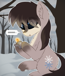 Size: 1811x2105 | Tagged: safe, artist:anonymous, oc, oc only, oc:frosty flakes, species:pony, g4, chest fluff, coat markings, ear fluff, eye clipping through hair, female, fire, forest, hoof hold, leg fluff, lighter, mare, snow, snow mare, solo, tree, yakutian horse, zippo