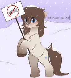 Size: 3115x3387 | Tagged: safe, artist:vetta, oc, oc only, oc:frosty flakes, species:earth pony, species:pony, g4, bipedal, chest fluff, coat markings, colored eyebrows, colored hooves, dialogue, female, fish, fluffy, holding sign, hoof hold, hooves, leg fluff, looking at you, mare, open mouth, sign, snow mare, solo, unshorn fetlocks, yakutian horse
